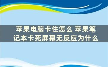 苹果电脑卡住怎么 苹果笔记本卡死屏幕无反应为什么